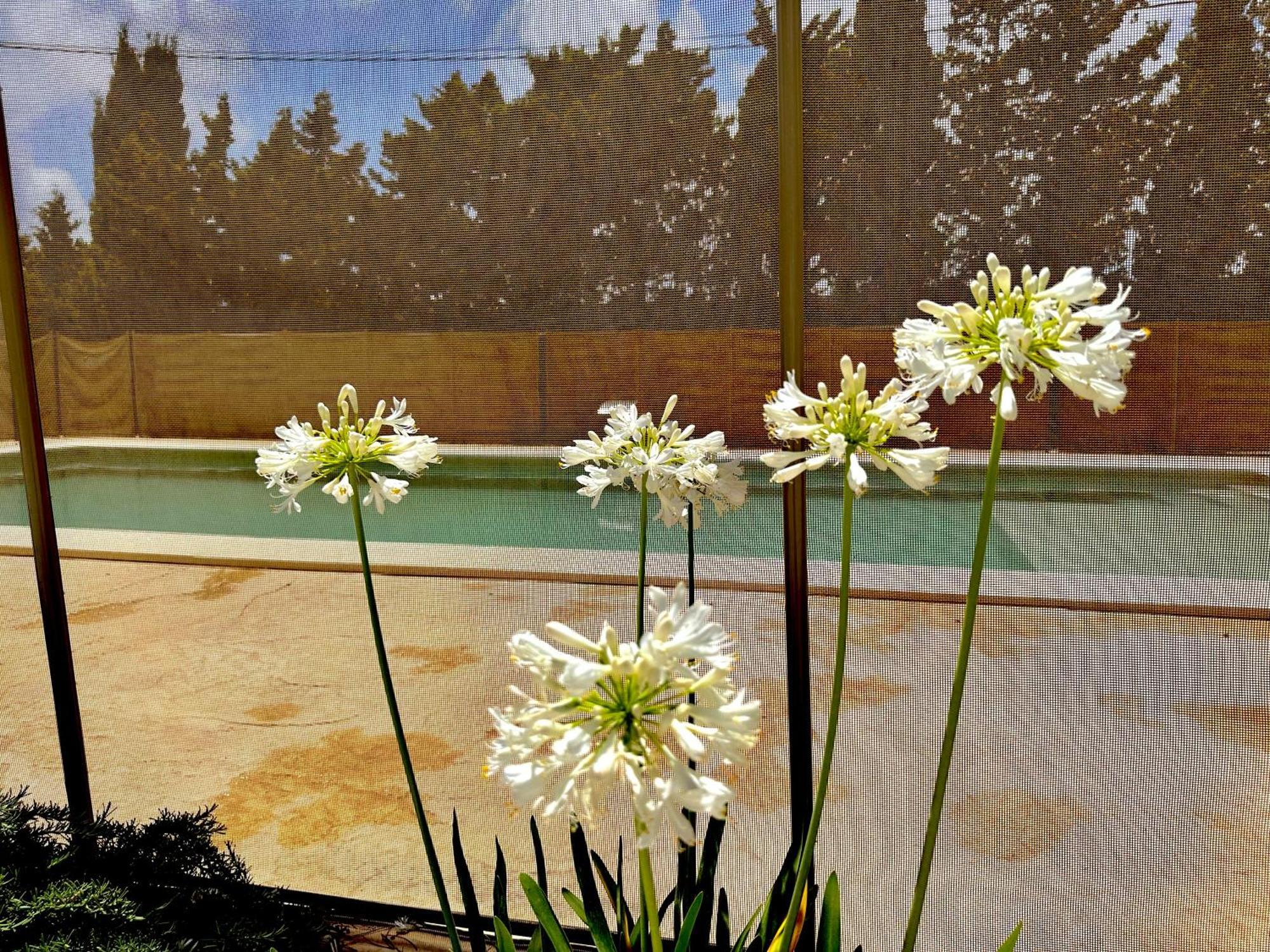 Agradable Con Piscina En La Barrosa Ferienhaus Chiclana de la Frontera